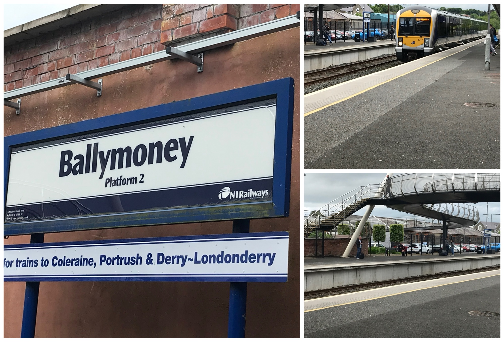 collage_export_c794278e-0fda-4024-b53d-2f91b5b9788f